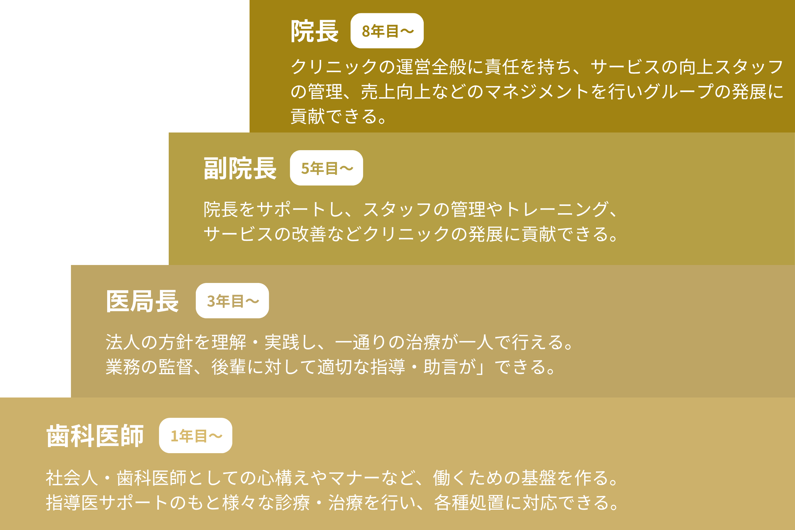 キャリアステップ