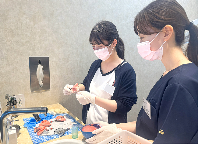 充実した教育体制